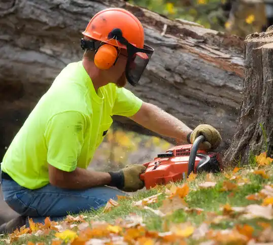 tree services Almont